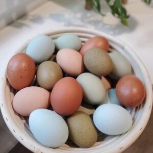 Rainbow Eggs